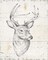 Wild and Beautiful I Poster Print by Daphne Brissonnet - Item # VARPDX28760